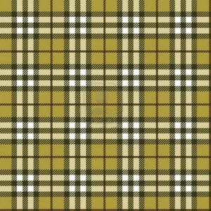 经典的苏格兰格纹显得比较方正,严谨.