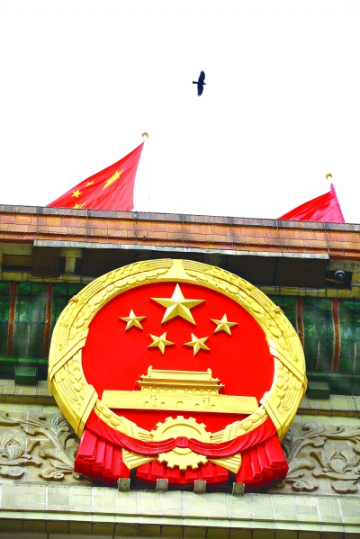 北京人民大会堂  一只飞鸟围着国徽翱翔  cfp