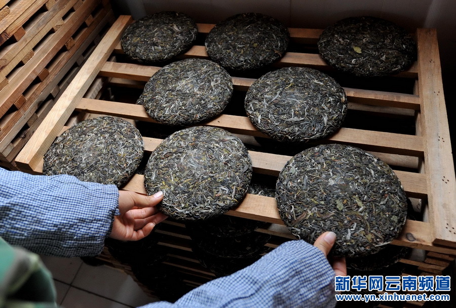 云南省普洱市镇沅彝族哈尼族拉祜族自治县恩乐镇复兴村的一名拉祜族