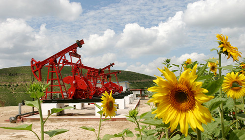 延长油田子洲采油厂全力打造绿色生态油田