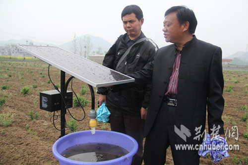 蹲点日记罗田大崎乡春耕记农家四月人倍忙