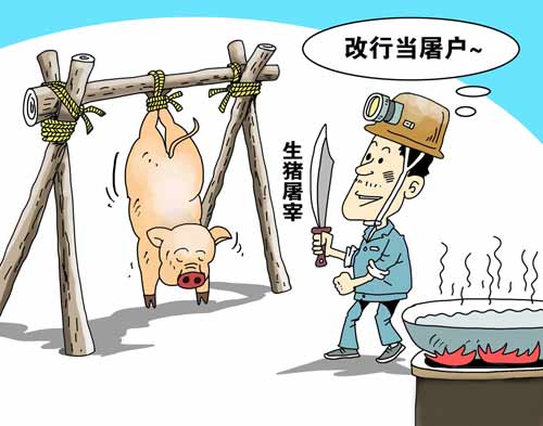 中国最大焦煤企业进入生猪屠宰行业