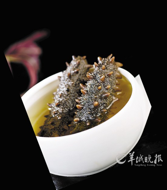 逸林假日酒店:泉水松茸炖辽参