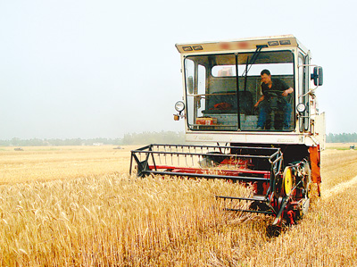 麦客李林驾驶收割机在安徽省凤台县收割小麦.