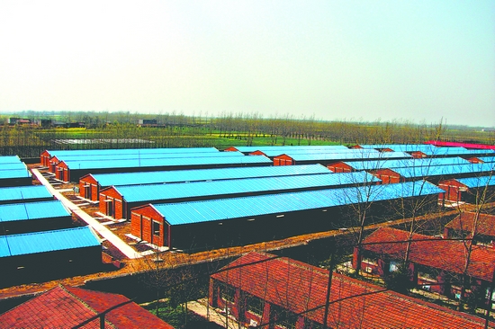 安徽长风农牧科技有限公司种猪场.