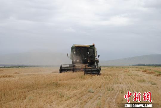 北京援助新疆兵团边境团场开发荒地2700余亩