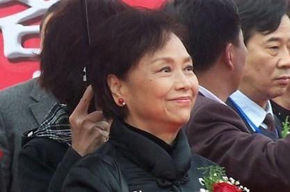 组图陈万水一生只为成就宋楚瑜揭秘不同寻常官夫人