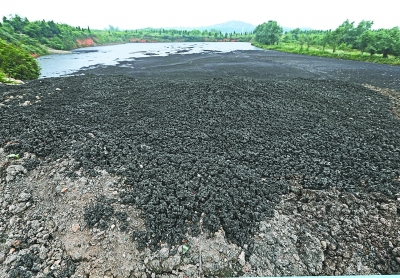 粪便污泥与生活垃圾做"人造煤"成为新能源