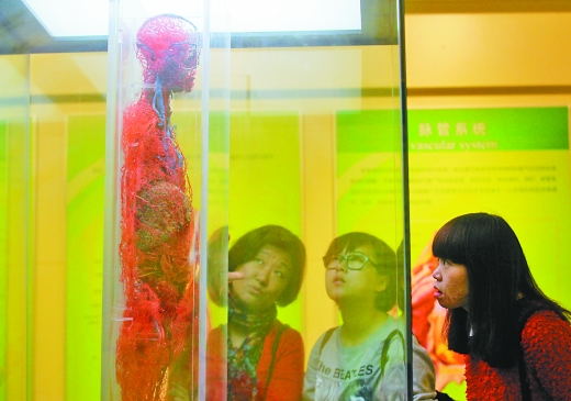 福尔马林浸泡人体器官图片