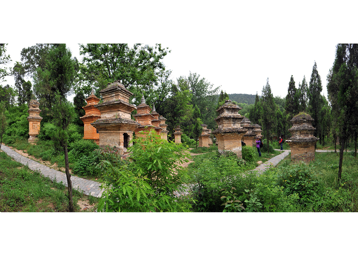 寻找中原最美乡村之影像汝州 - 凤凰河南