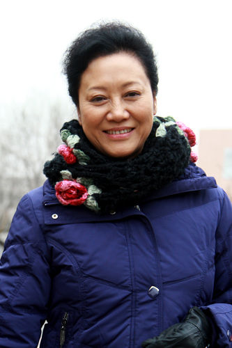 岳母王丽云三不择婿标准引热议